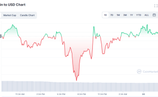 Do Diminishing Bitcoin Whale Holdings Signal a Bitcoin Price Boom or a Price Drop