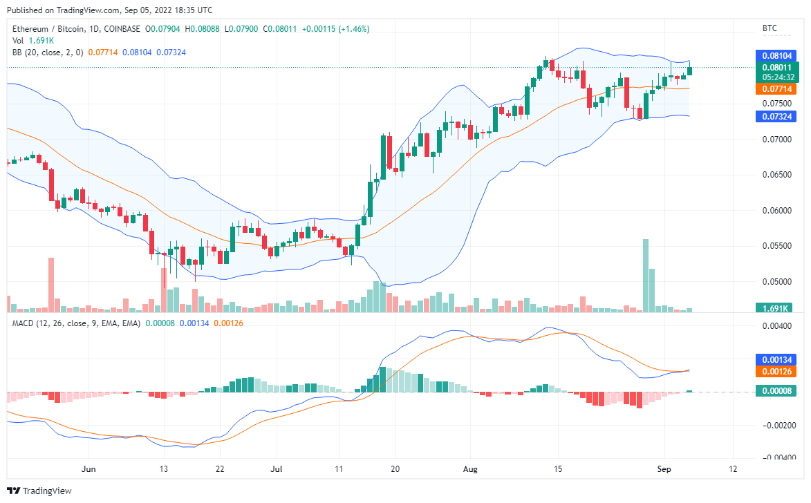 Çmimi Ethereum mund të dëshmojë më shumë fitime. Ndërsa Qielli është fillimi për Tamadoge