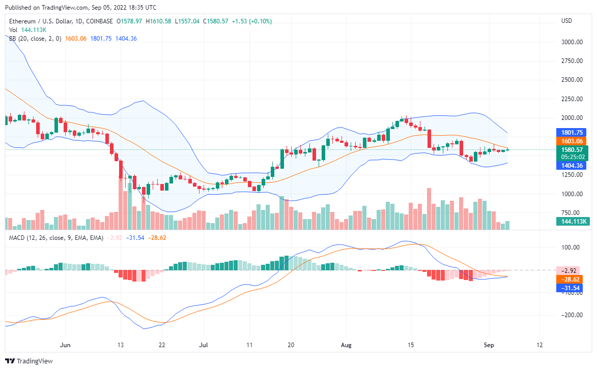 Ethereum Price May Witness More Profit. While the Sky Is the Beginning for Tamadoge