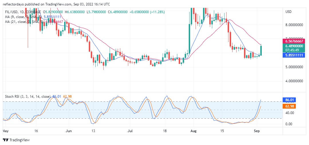 Filcoin Price Analysis for 3rd of September: FIL/USD Smashes the $6.000000 Resistance Level 