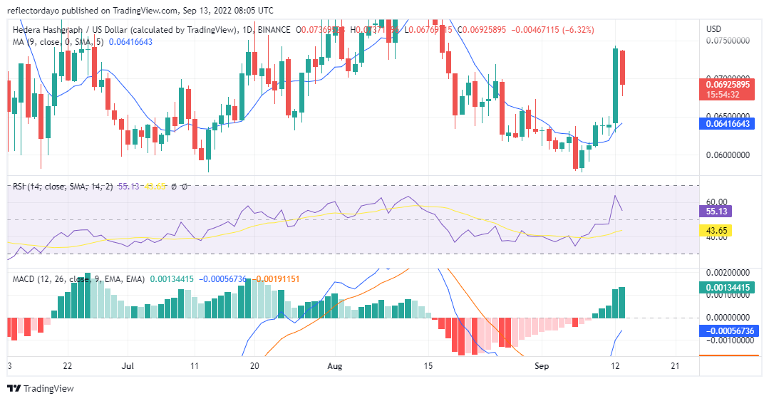 Hedera Hashgraph Price Analysis for 13th of September: HBAR/USD Traders Are Taking Profit