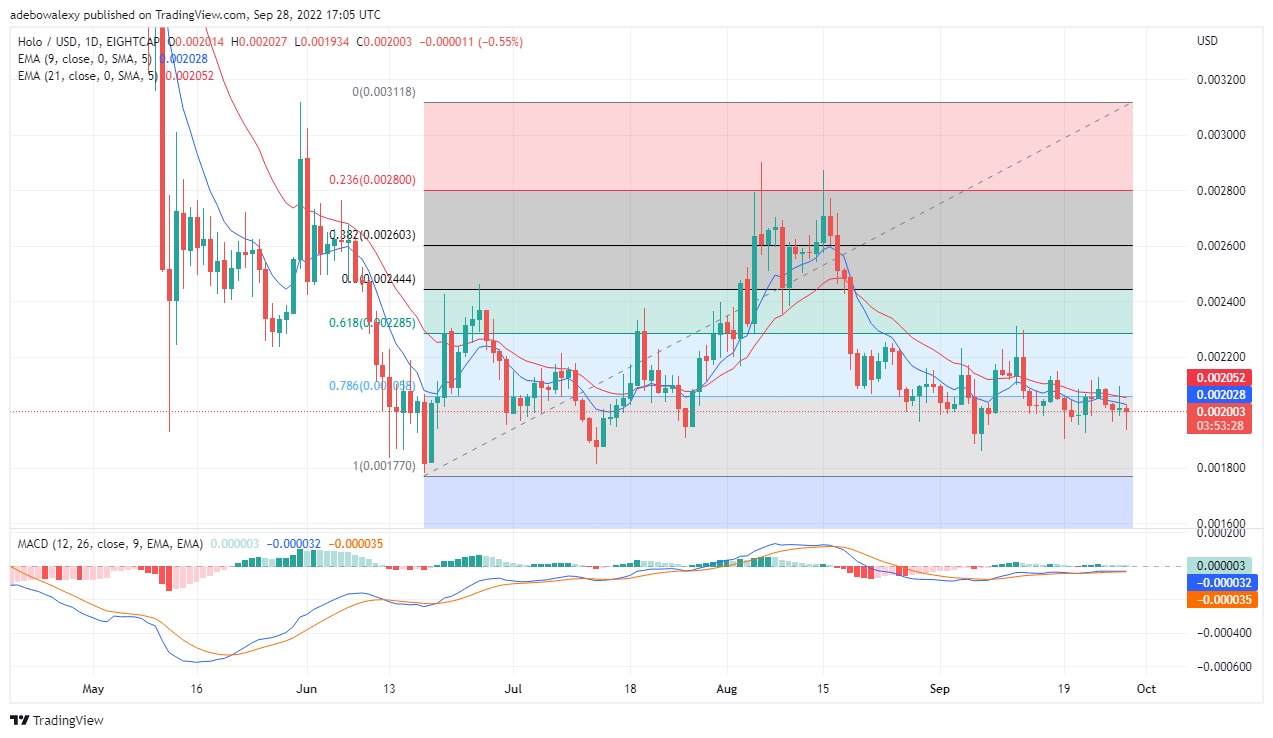 Holo 價值分析：HOT/USD 最低限度看跌