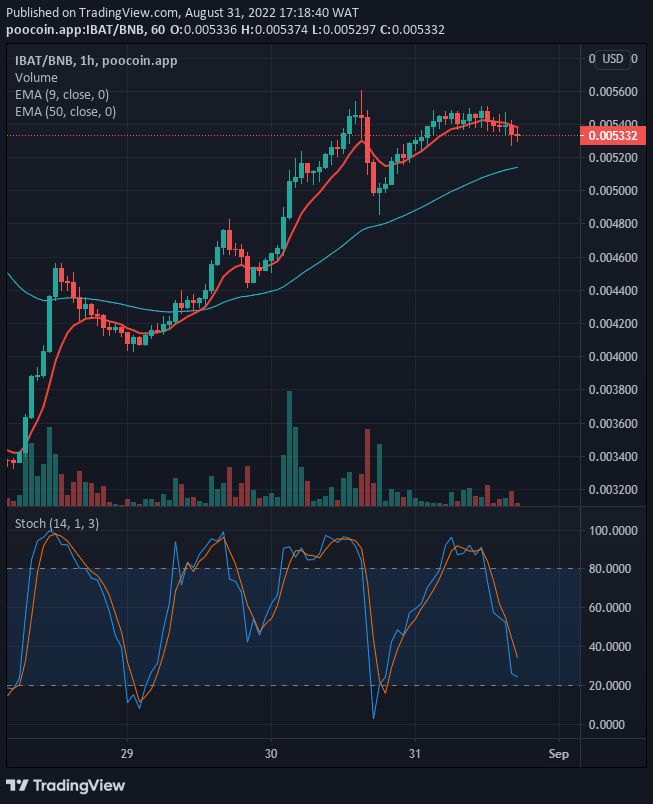 IBAT/USD, having finished the downward correction the coin might likely resume the upside move if all the current support holds.