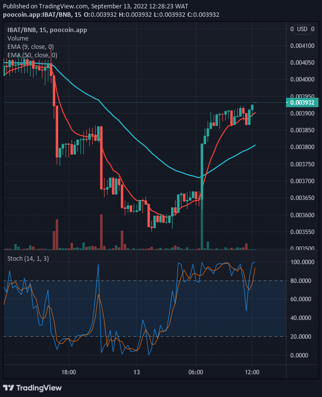 IBAT/USD will still go further if the current support at $0.003865 holds. The crypto’s price may continue its upside moves to reach a $0.05000 high level, provided the buyers increase their actions in the market.