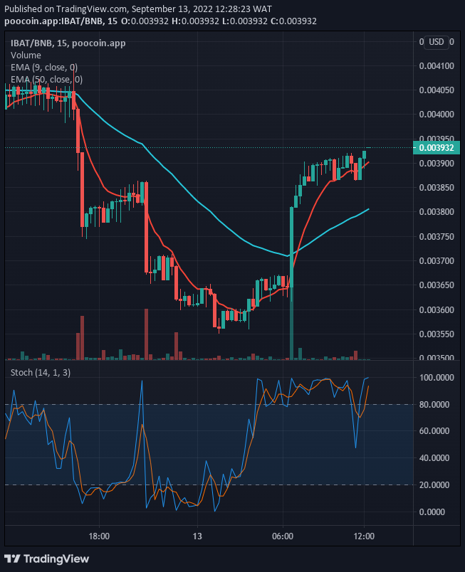 如果當前支撐位 0.003865 美元保持，IBAT/USD 仍將進一步走高。 如果買家增加他們在市場上的行動，加密貨幣的價格可能會繼續上漲至 0.05000 美元的高位。