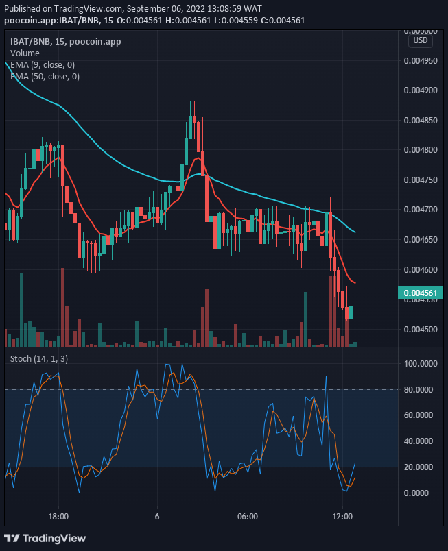 IBAT/USD selling pressure may possibly end soon. If the investors could prove stronger the more and the price shows sustainability above the $0.005165 resistance value, its, upsides should extend further.
