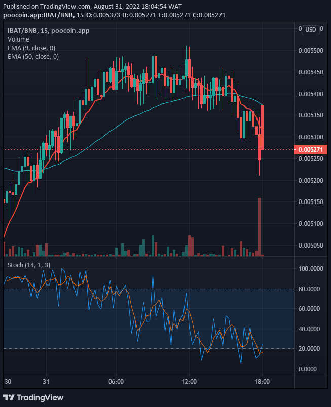 IBAT/USD, having finished the downward correction the coin might likely resume the upside move if all the current support holds.