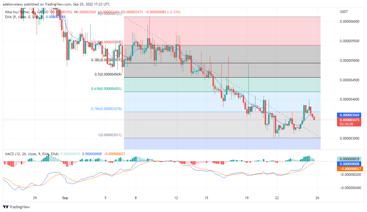 KIBA May Be Experiencing a Minor Pullback, Tamadoge to Be Listed on OKX