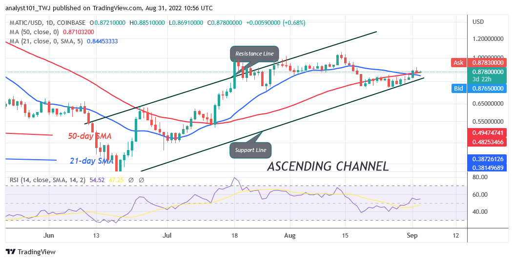 Price Prediction for August 31: XEC, LDO, LTC, MATIC, and ATOM