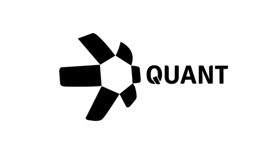 Buy Quant
