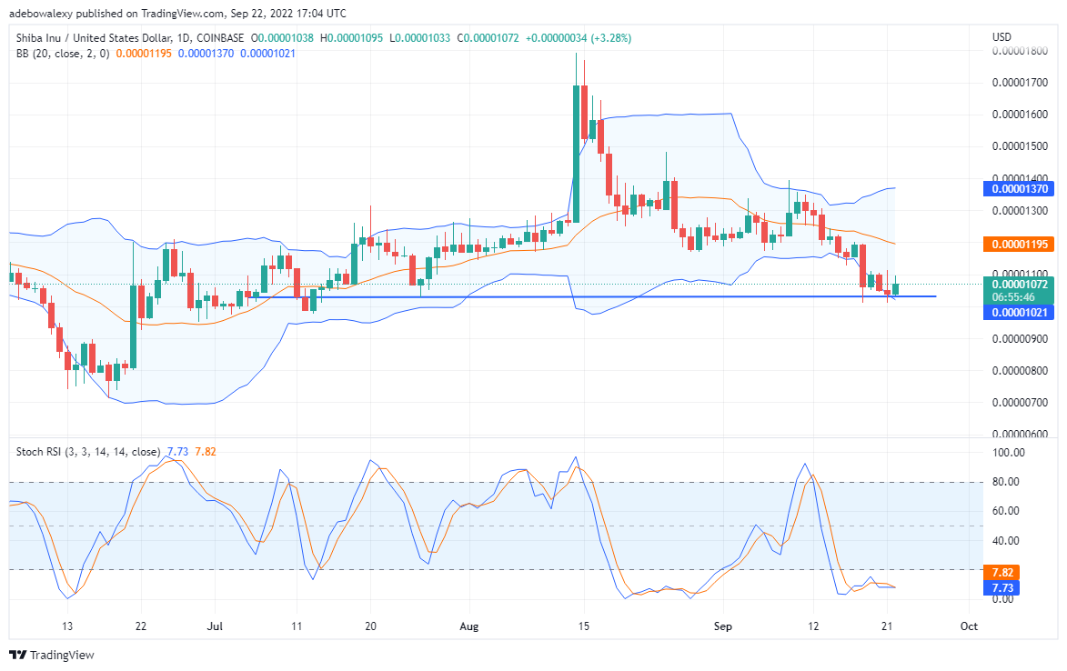 SHIB trend reversal weakness, TAMA is getting hotter and hotter