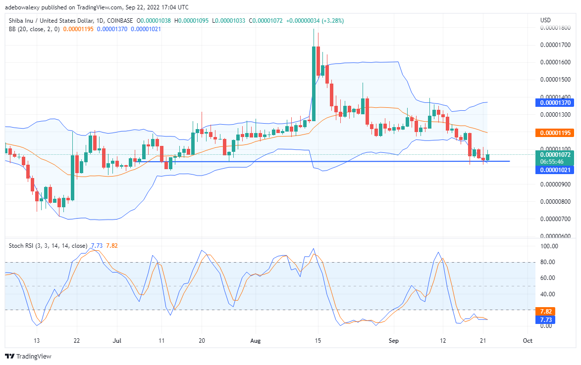 SHIB走勢反轉疲軟，TAMA愈發火熱