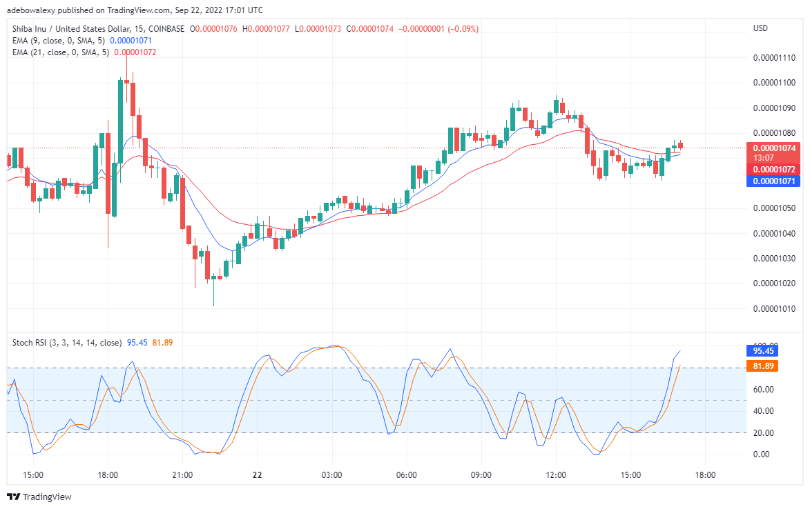 Weakness in SHIB’s Trend Reversal, TAMA Is Getting Hotter and Hotter