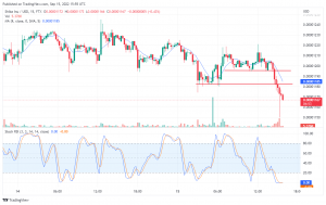SHIB About to Break Down a Strong Support, TAMA Goes Bullish