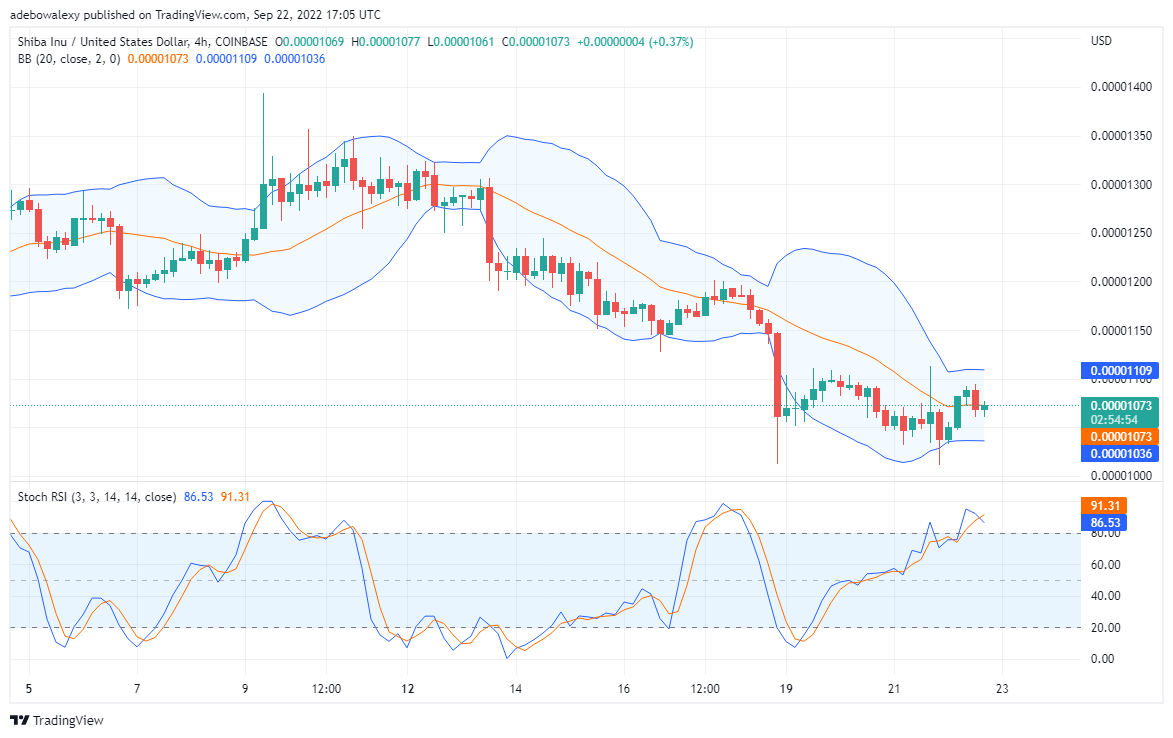 Weakness in SHIB’s Trend Reversal, TAMA Is Getting Hotter and Hotter