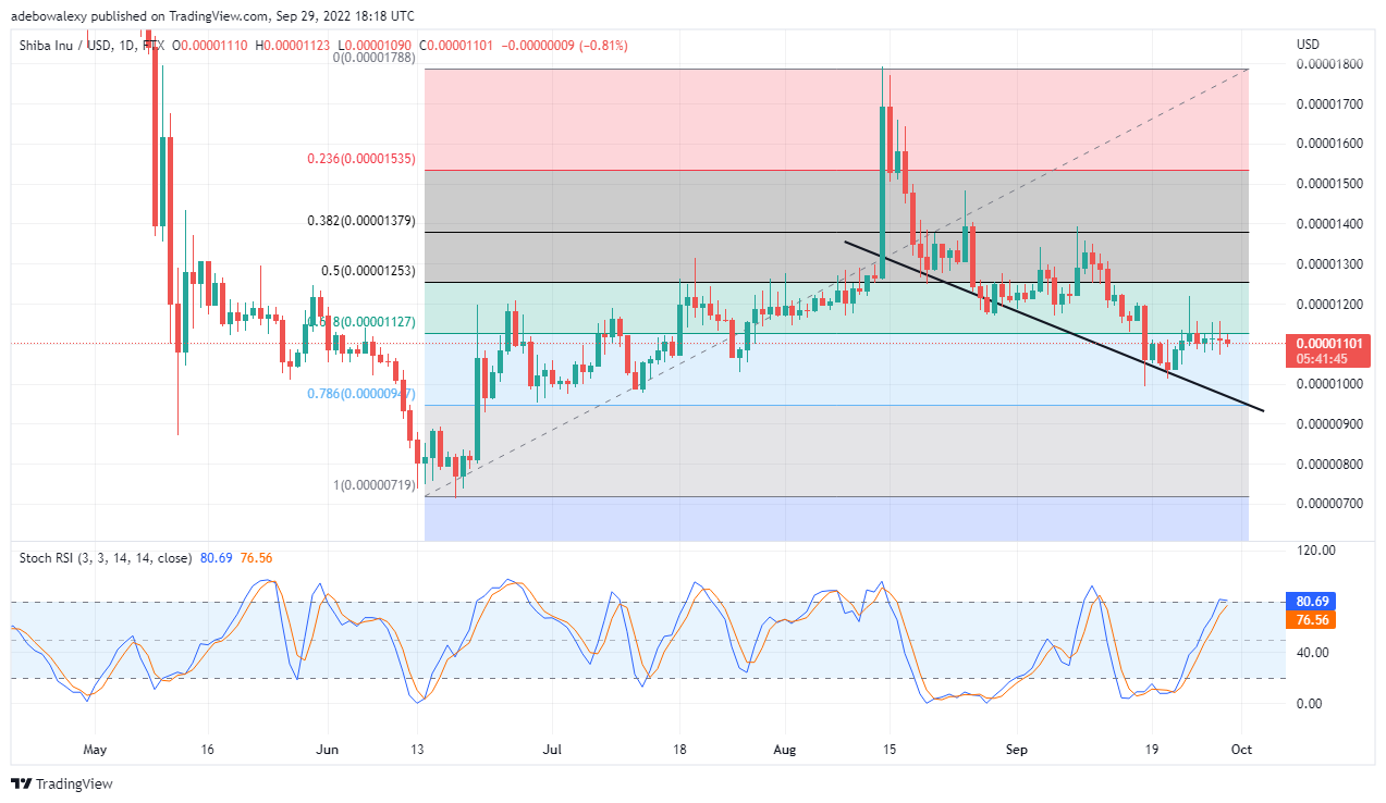 פּרייַז אַנאַליסיס פֿאַר שיבאַ ינו: SHIB / USD ריווערסינג מיט אַ שטאַרק קעגנשטעל