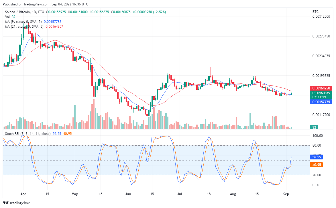 Solana’s Price Is Consolidating, While the Sky Is the Beginning for Tamadoge