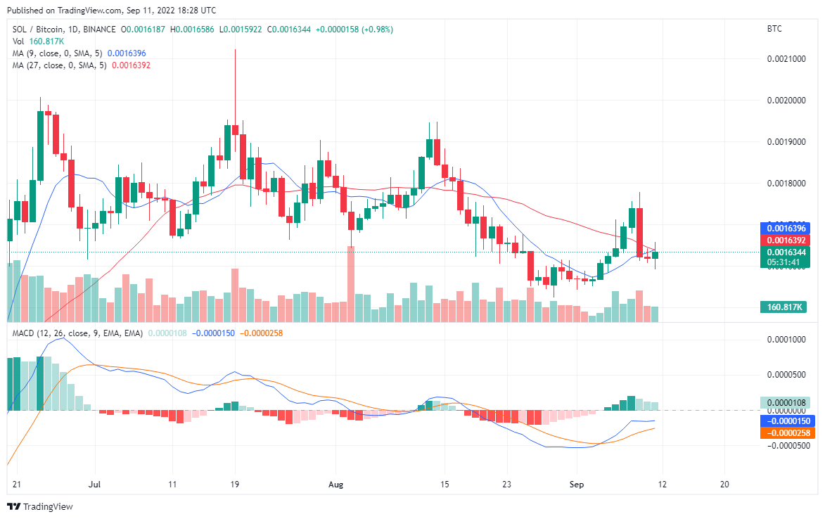 Solana Aims to Break Higher Resistance, Makes Huge Profits on TAMA