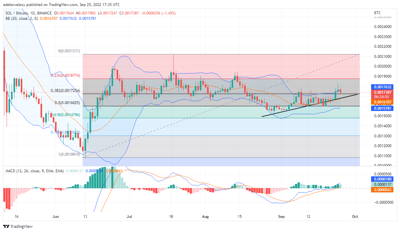 Солана 78.60 Fib түвшинд дэмжлэг олох магадлалтай, Tamadoge нь OKX дээр бүртгэлтэй байх болно.