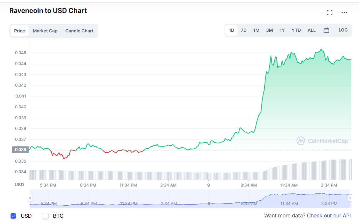 Haruskah saya membeli RAVENCOIN