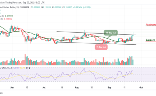 XLM Could Hit $0.140 Level as Buyers Strongly Prefer TAMA