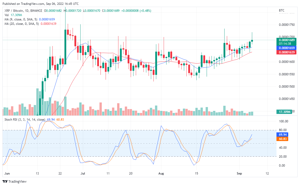 XRP Price Struggles to Gain Higher Support, 10000X Returns Coming on TAMA