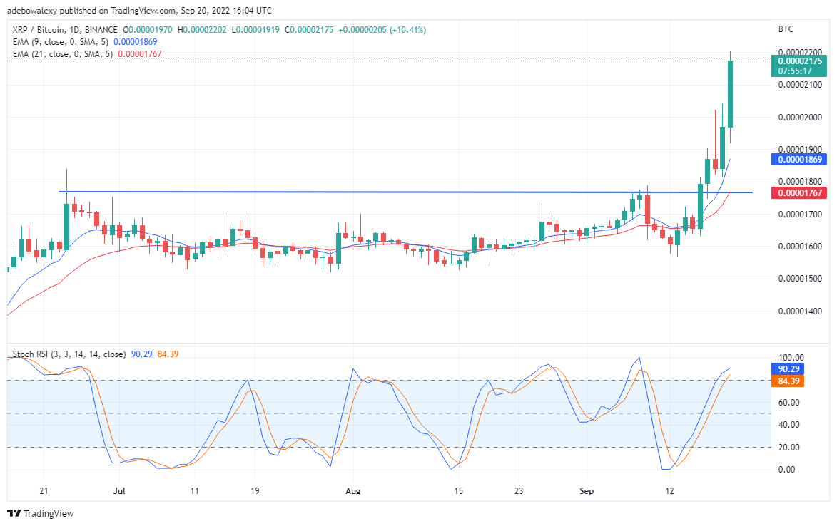 XRP Goes Bullish Breaks a Long term Resistance, A Whale Buys Tamadoge
