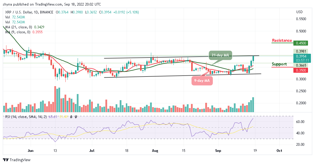 XRP 飆升至 0.37 美元以上； TAMA 仍然具有吸引力