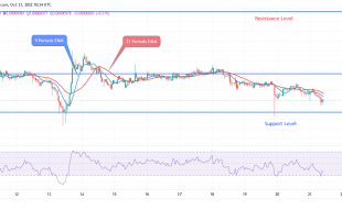 Shiba Inu Price Prediction for Today, October 19: SHIB Trends Lower