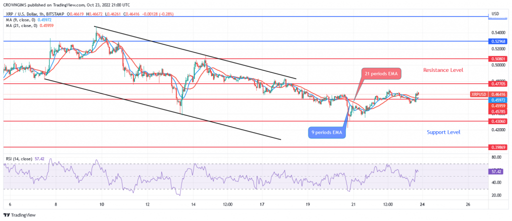   Ripple Price Prediction for Today, October 23: XRP Trends Lower