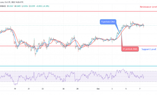 Polygon (MATICUSD) Price Is Rejected at Support Level of $0.74