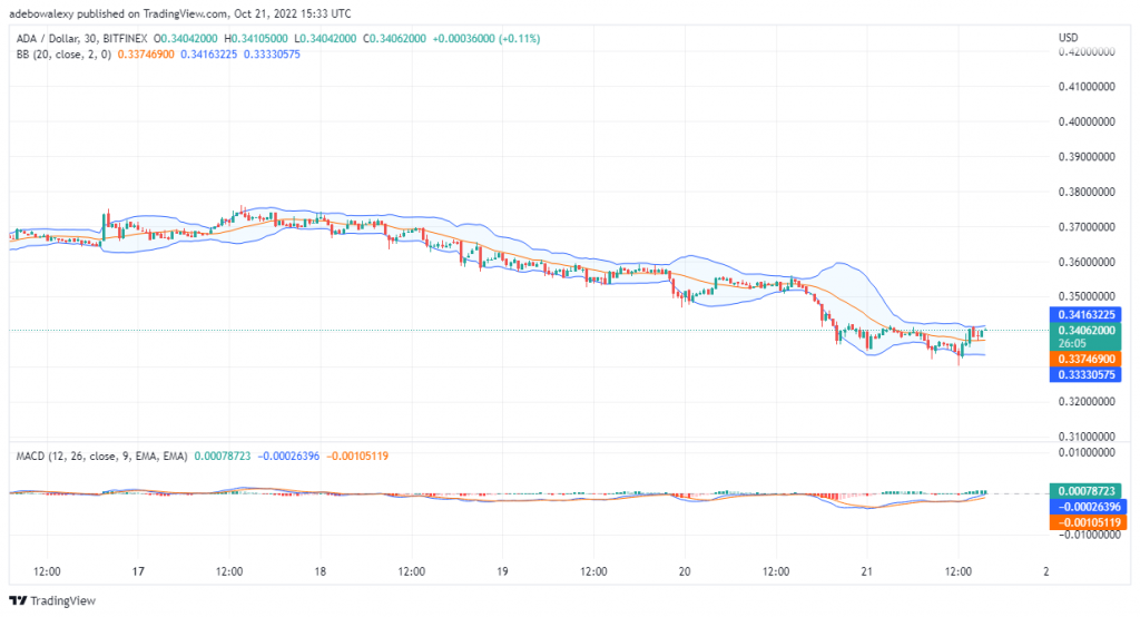 Cardano Price Prediction Today, October 22, 2022: ADA/USD Attempts a Pullback