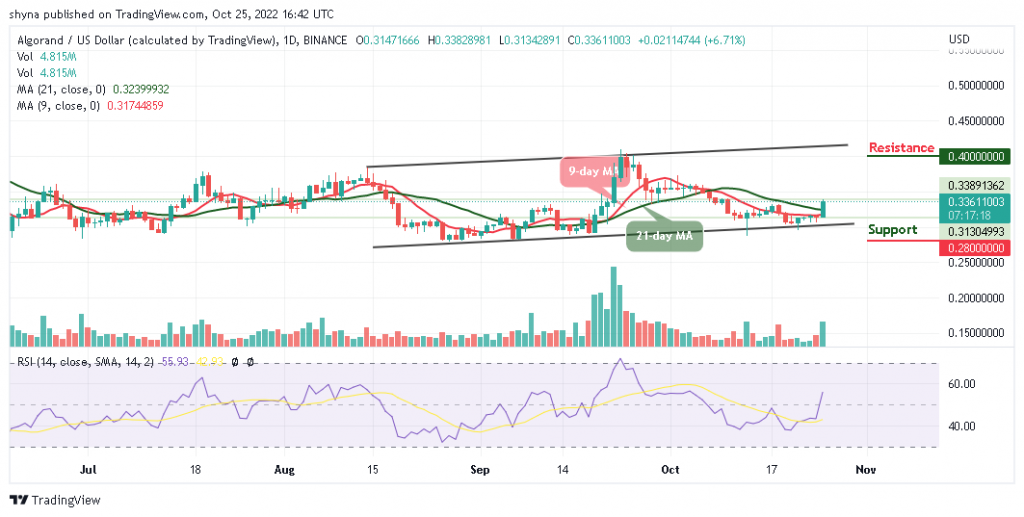 Algorand Price Prediction for Today, October 25: ALGO/USD Approaches $0.35 Level