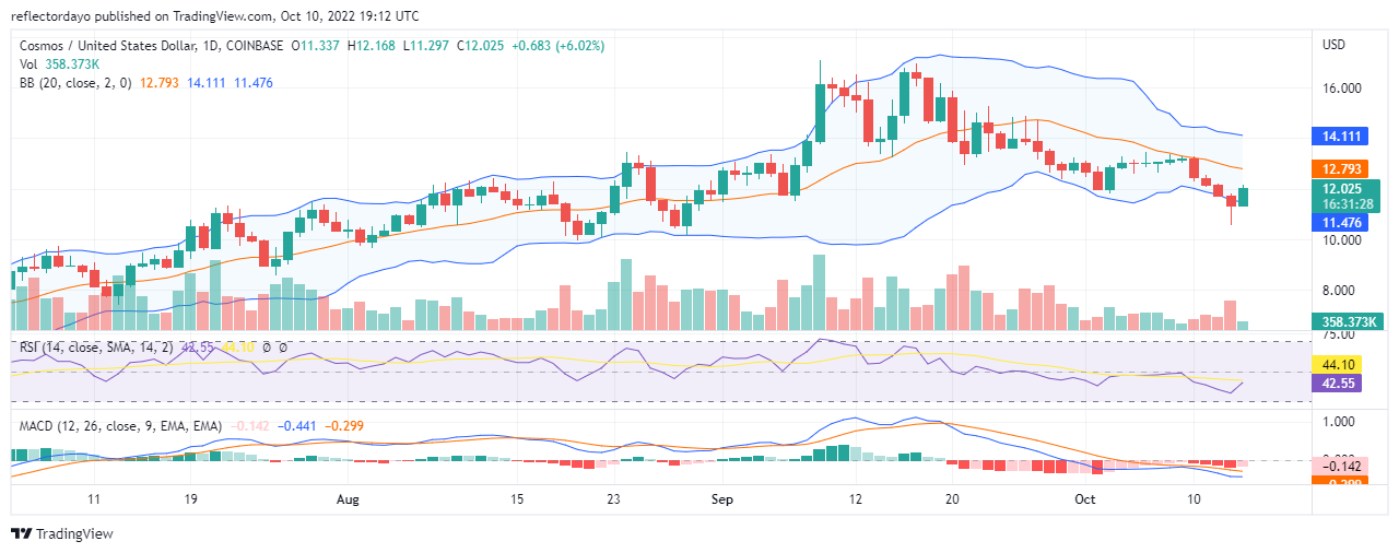 Daily Price Prediction for 14th of October: Cosmos Bears Break the Market Indecision