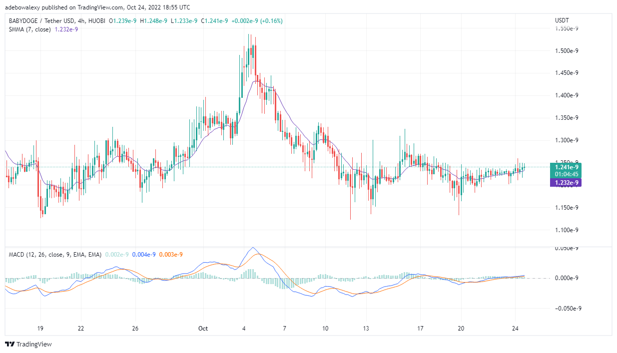Baby Doge Price Prediction Today, October 25, 2022: BABY DOGE /USDT May Only Be Presenting Minimal Profits