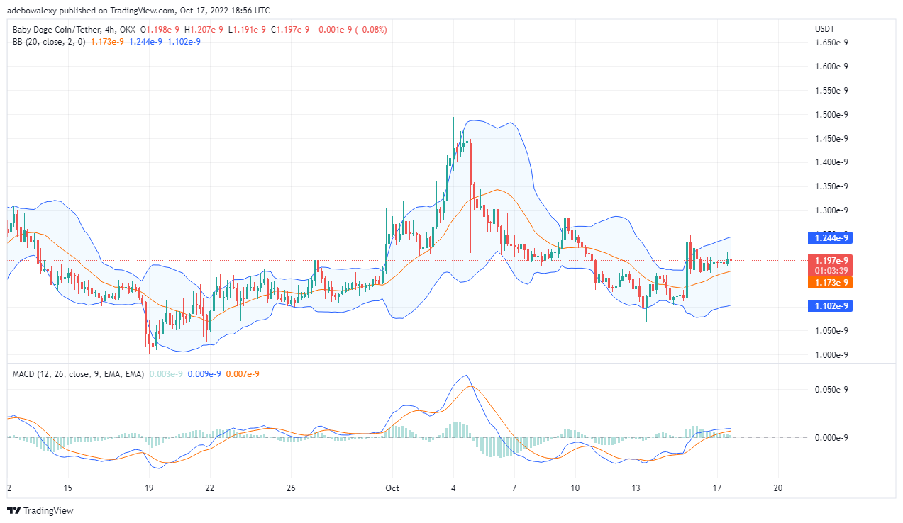 การคาดการณ์ราคา Baby Doge วันนี้ 17 ตุลาคม 2022: BABY DOGE/USDT กำลังรื้อฟื้นการสนับสนุน