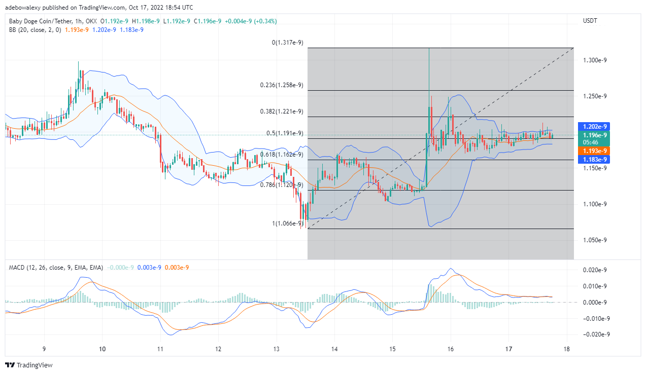 Baby Doge Price Prediction Today, October 17, 2022: BABY DOGE/USDT Is Retracing Support