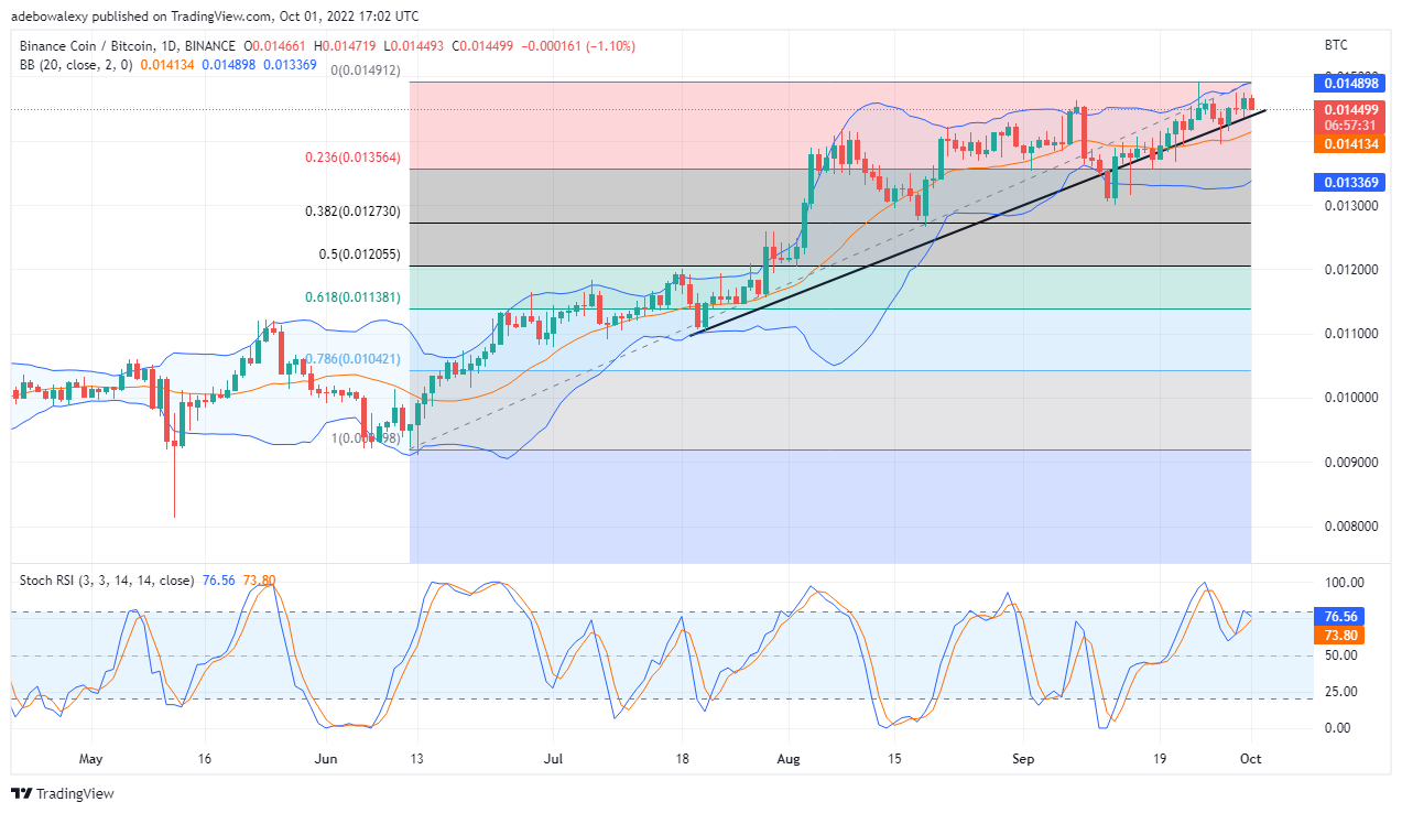 BNB Price Analysis: Binance Coin Seems to Have Started a Downtrend