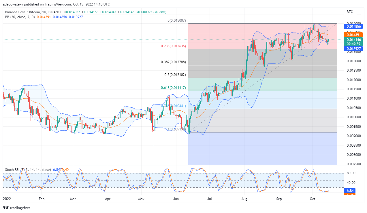 Binance Coin Price Prediction Today, October 16, 2022: BNB/USD Maybe Bouncing Upwards