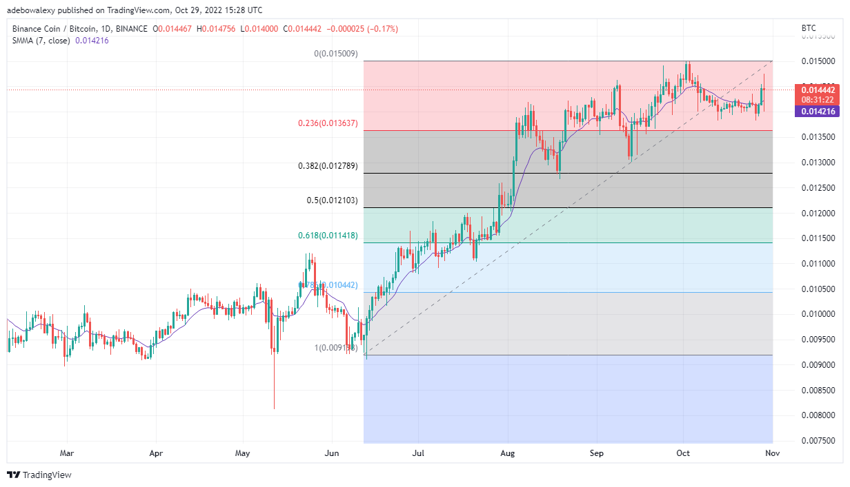 Binance-Coin-Preisvorhersage heute, 30. Oktober 2022: BNB/USD-Pause stößt auf 300-Dollar-Marke