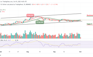 Binance Coin Price Prediction for Today, October 1: BNB/USD Declines Slightly by 0.74%