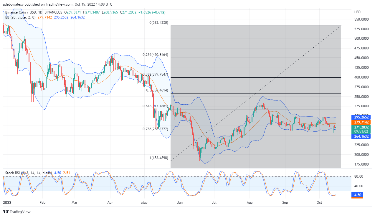 Binance Coin Price Prediction Today, October 16, 2022: BNB/USD Maybe Bouncing Upwards