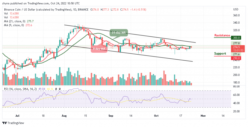 Binance Coin Price Prediction for Today, October 24: BNB/USD Price Ranges as the Coin Holds $274 Level