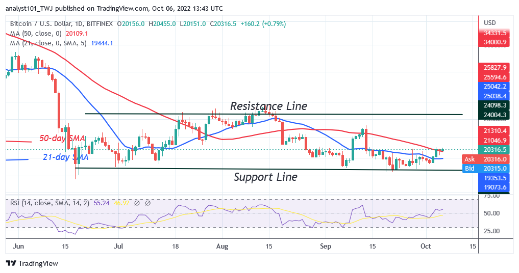 Photo of Bitcoin Price Prediction for Today October 6: BTC Price Is Unstable above $20K Support