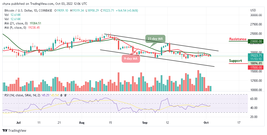Photo of Bitcoin Price Prediction for Today, October 3: BTC/USD Shows Bullish Signals