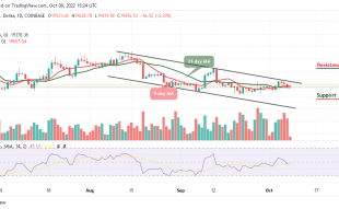 Bitcoin Price Prediction for Today, October 8: BTC/USD Retreats After Touching $19,628