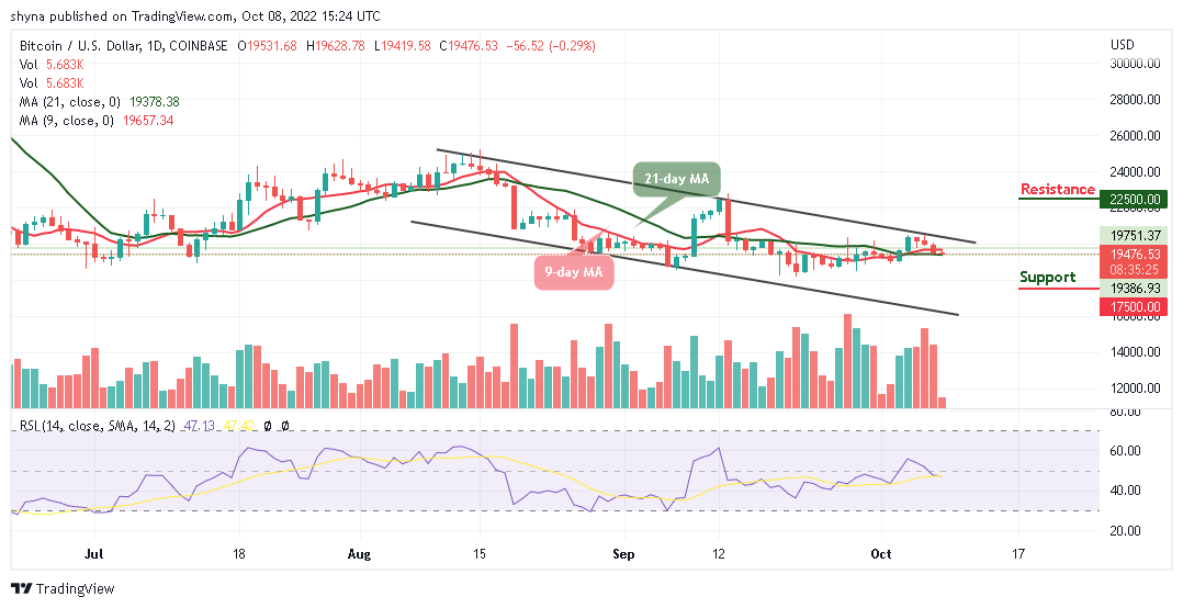 Photo of Bitcoin Price Prediction for Today, October 8: BTC/USD Retreats After Touching $19,628
