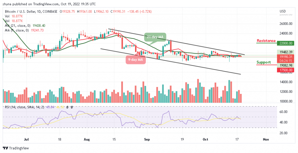 Bitcoin Price Prediction for Today, October 19: BTC/USD Price Battles with $19,000