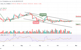 Bitcoin Price Prediction for Today, October 24: BTC/USD Trades at $19,331 as Correction Lingers