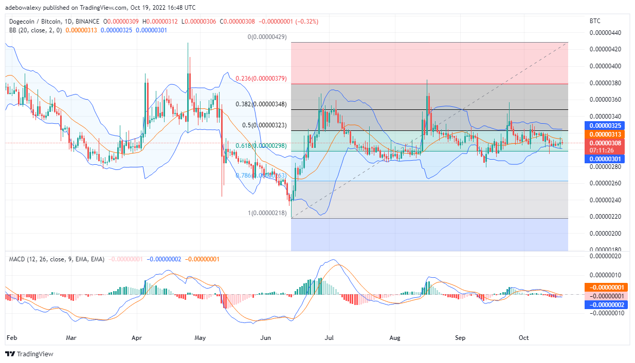 Dogecoin Price Prediction Today, October 20, 2022: DOGE/USD Continues to Range